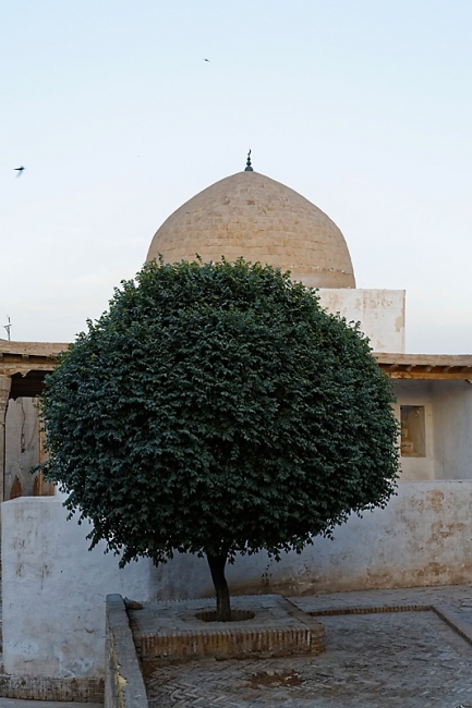 Ballade dans Khiva-132
